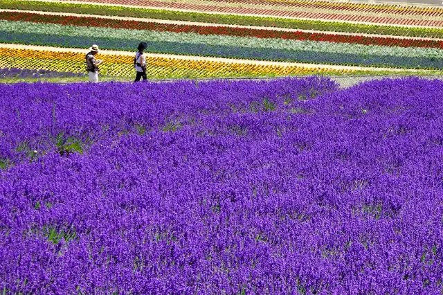 East Asia road trip scenery