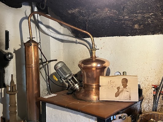 Stanzer Zwetschke Distillery Tour