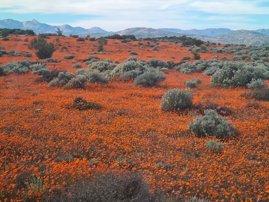 Namaqua National Park