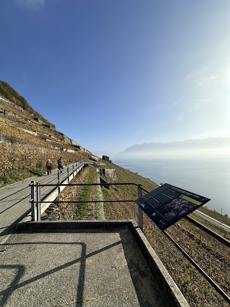 Route des Grands Crus and Lavaux Vinorama — 2.8 km vineyard walk — Lavaux Vineyards — Switzerland