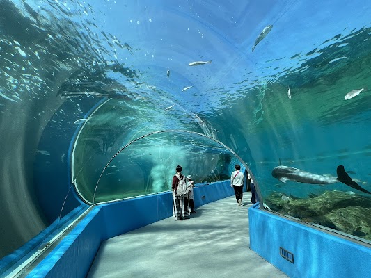 Notojima Aquarium