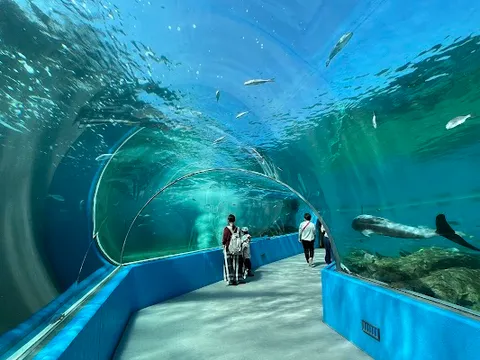 Notojima Aquarium — Aquarium — Noto Peninsula Recovery Loop — Japan