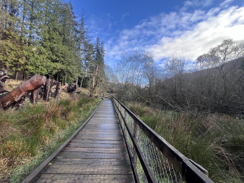 Glendalough Monastic City and Green Road — Heritage and short walk — Dublin to the Wicklow Mountains — Ireland