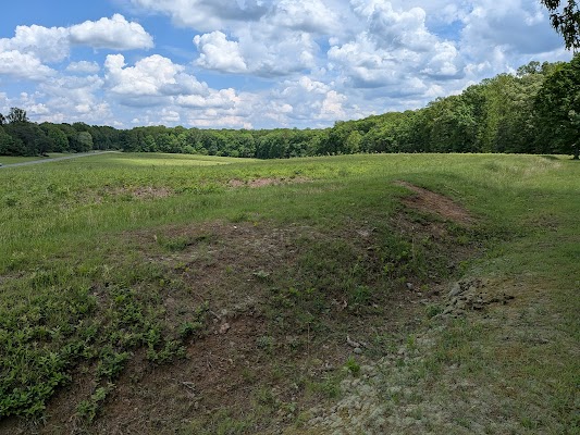 Wilderness Battlefield