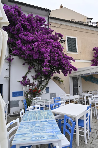 Il Ghiottone — Seafood — Sardinia Island Loop — Italy