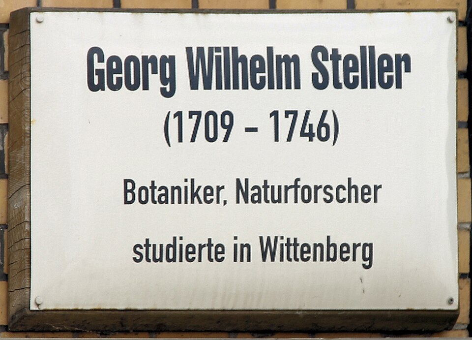 Alte Canzley — German — German Avenue Road: Wittenberg–Duderstadt Section — Germany