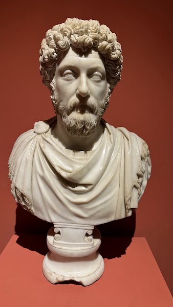 Ephesus Museum — Museum — Türkiye Grand Tour — Türkiye