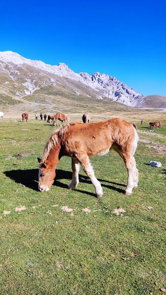 Campo Imperatore