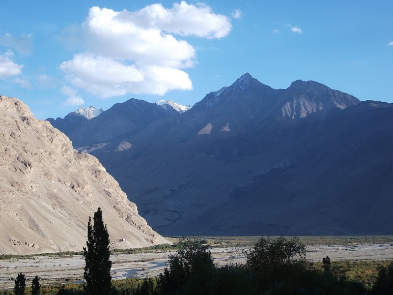 Langar Petroglyphs