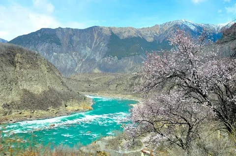 Niyang River and Yarlung Tsangpo Grand Canyon — Nyingchi excursions — G318 Sichuan-Tibet Highway — China