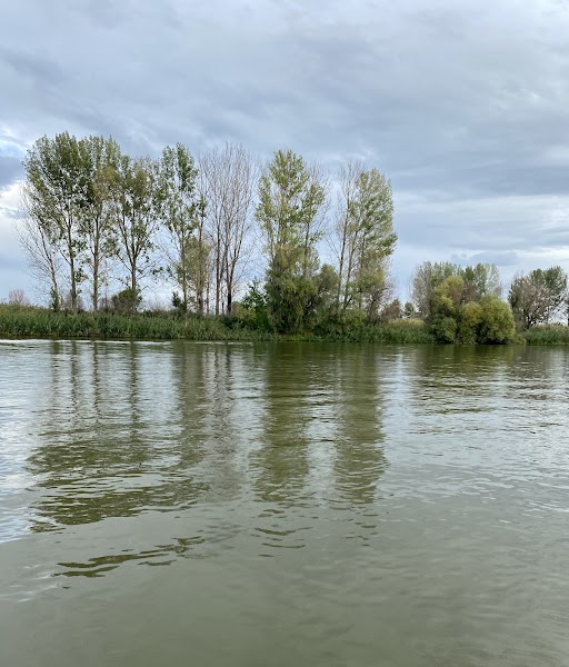 Licensed Volga Delta boat or reserve ecotrail — Guided nature visit — Volga Heritage Route — Russia