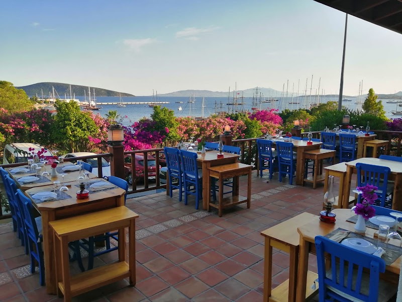Orfoz Restaurant — Aegean seafood — Türkiye Grand Tour — Türkiye