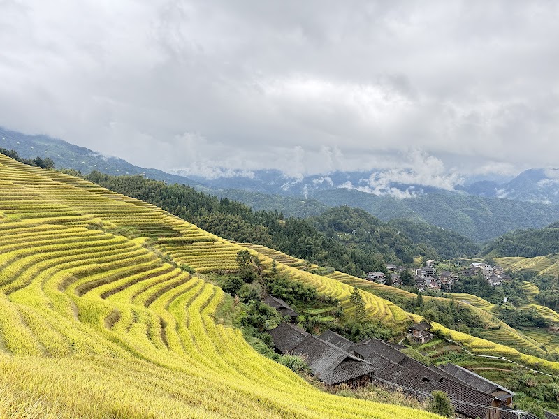 The LongJi Restaurant — Zhuang and Guangxi — Guilin, Longji & Li River to Yangshuo — China