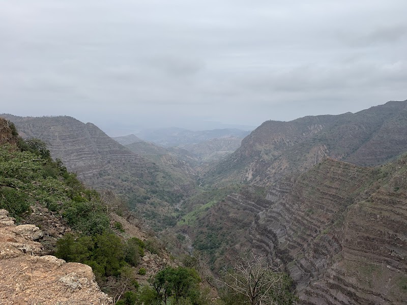Day Forest National Park — Nature — Lake Assal and Goda Mountains — Djibouti