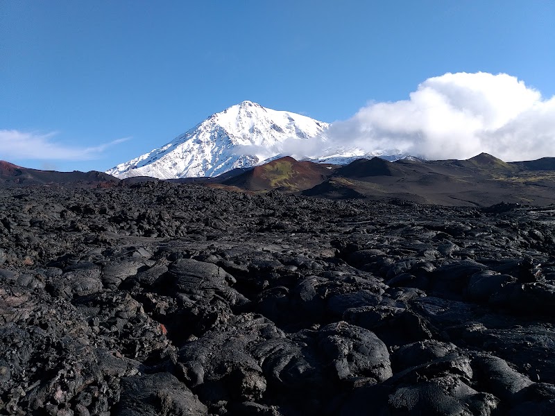 Prebooked expedition meals — Operator and lodging meals — Central Kamchatka Volcano Road: Petropavlovsk-Kamchatsky to Klyuchi — Russia