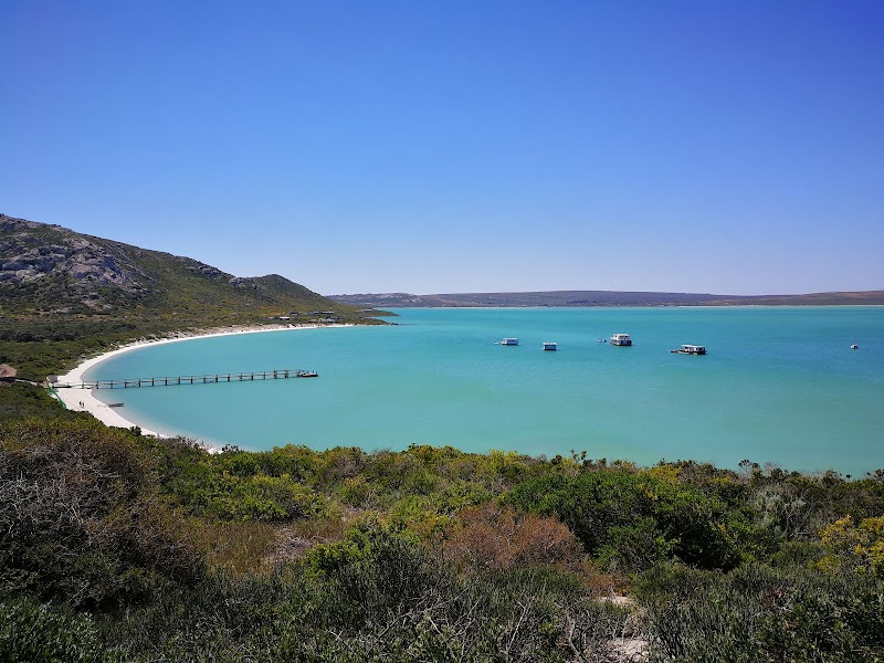 West Coast National Park — Nature — Namaqualand Flower Route — South Africa