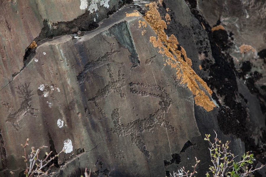 Kalbak-Tash Petroglyphs — Archaeological site — Novosibirsk to Kosh-Agach via the Chuya Trakt — Russia