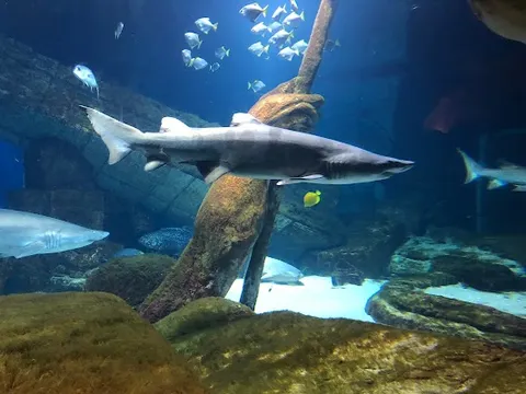Long Island Aquarium — Aquarium — Manhattan–Montauk–North Fork–Brooklyn — United States