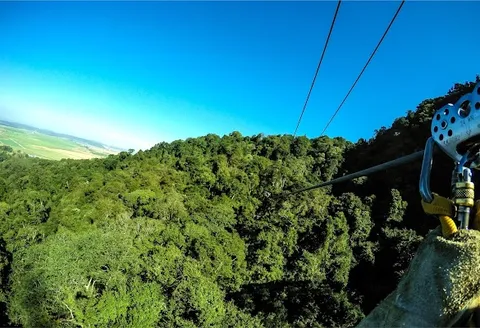 Karkloof Canopy Tour — Adventure — Durban to the Drakensberg — South Africa