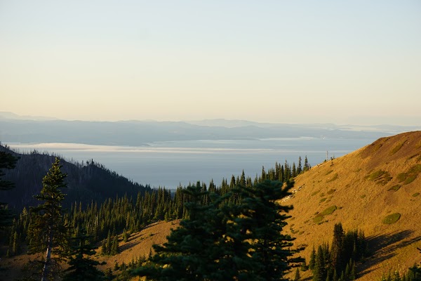 Hurricane Ridge