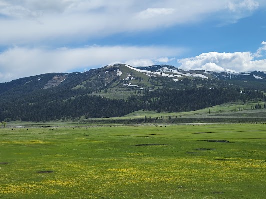Lamar Valley