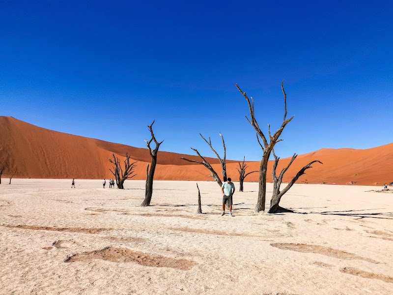 Sossusvlei Dune Climb — Nature — Namib Desert Circuit — Namibia