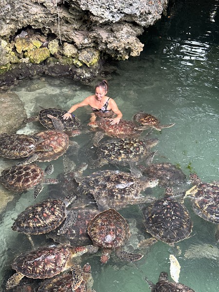 Mnarani Marine Turtles Conservation Pond — Nature — Zanzibar Island Loop — Tanzania