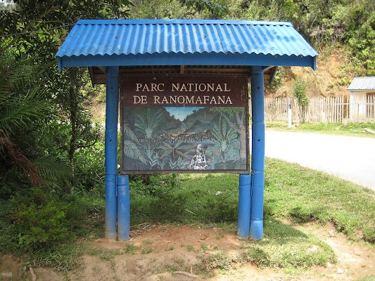 Ranomafana National Park