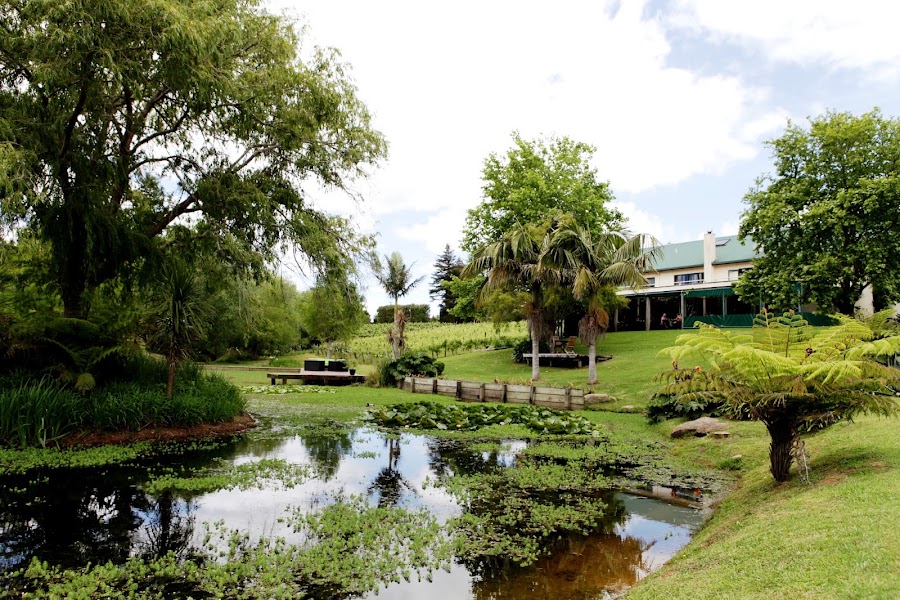 Marsden Estate restaurant — Winery restaurant — Northland Pacific Coast Highway — New Zealand