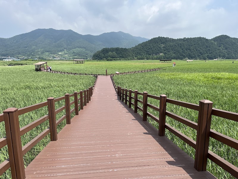Suncheon Bay