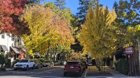 Calistoga — Arrival — Napa Valley Wine Road — United States