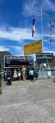 Seal Island Boat Trip — Boat Tour — Chapman's Peak Drive — South Africa