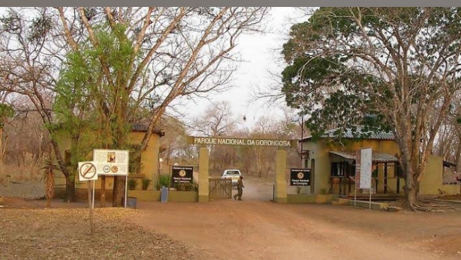 Gorongosa National Park — Nature — Mozambique EN1 Coastal Route — Mozambique