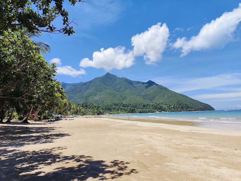 Sabang Wharf — Nature — Puerto Princesa to El Nido via the Underground River — Philippines