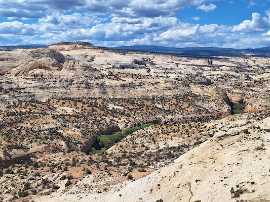 The Hogback
