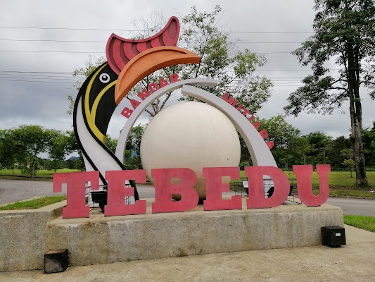 Tebedu