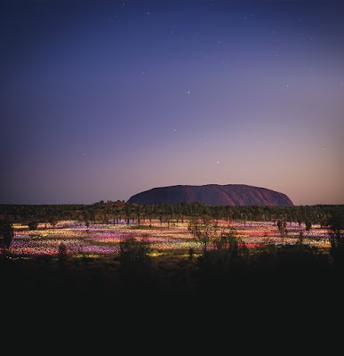 Field of Light