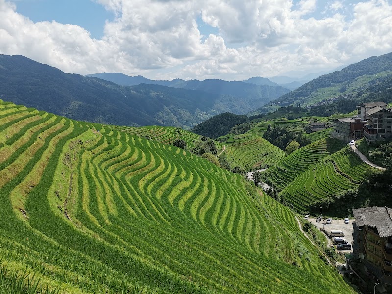Dragon's Backbone Terraces