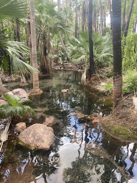 Zebedee Springs — Conditional thermal spring — Gibb River Road — Australia
