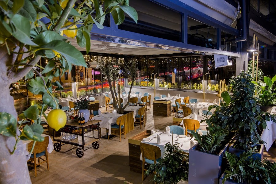 Trilye Restaurant — Seafood — Türkiye Grand Tour — Türkiye