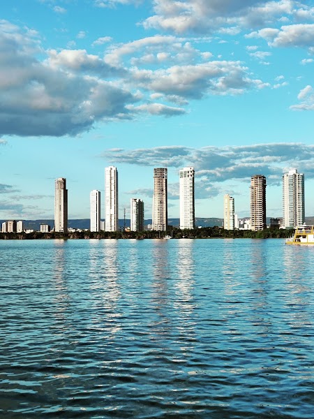 Palmas