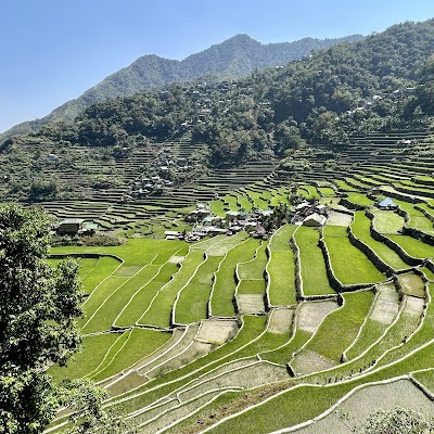 Banaue Rice Terraces