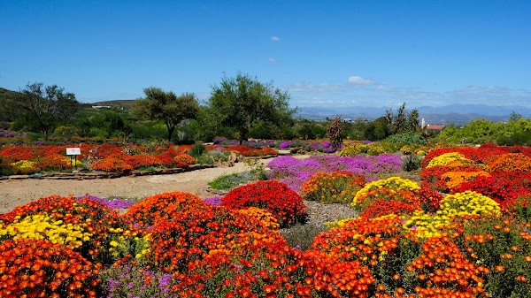 Karoo Desert National Botanical Garden