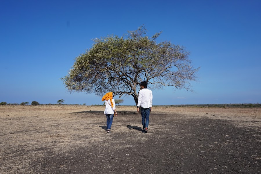 Taman Nasional Baluran