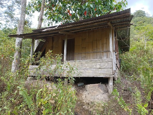 Tambunan