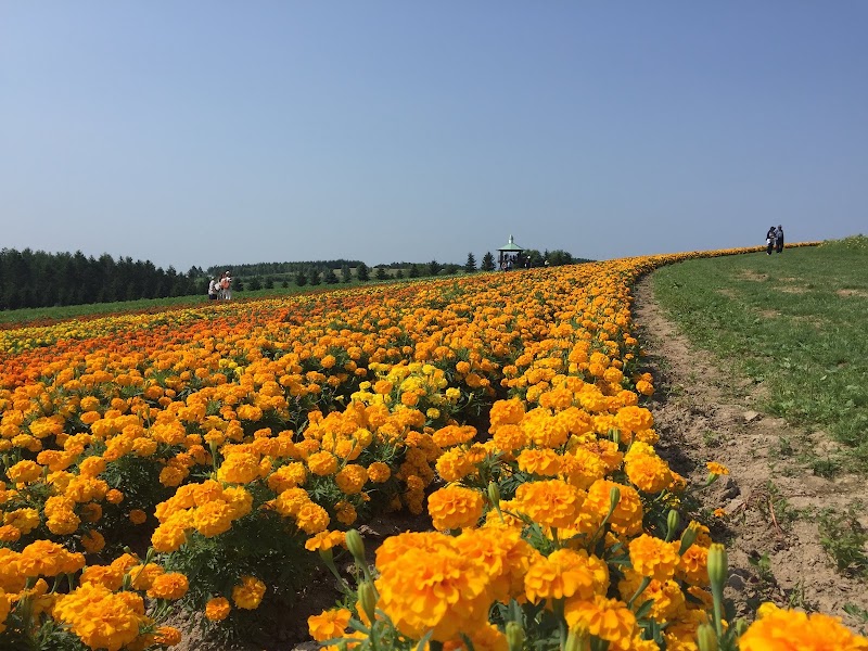 Kamifurano and Panorama Road — Nature — Hokkaido Flower Route — Japan