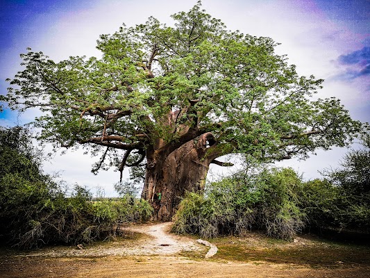 Mahangu National Park