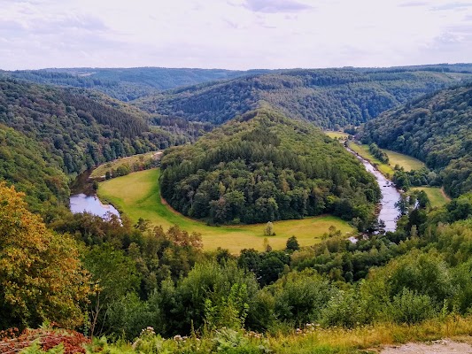 Bouillon