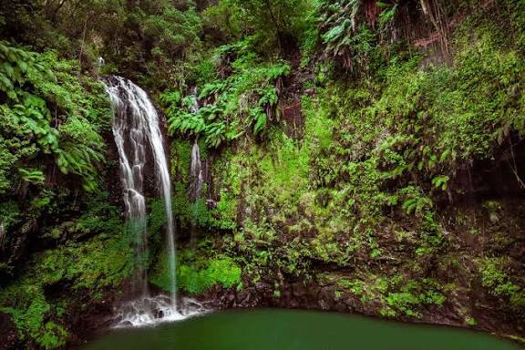 Montagne d'Ambre National Park — Nature — Northern Madagascar and Tsingy de Bemaraha — Madagascar