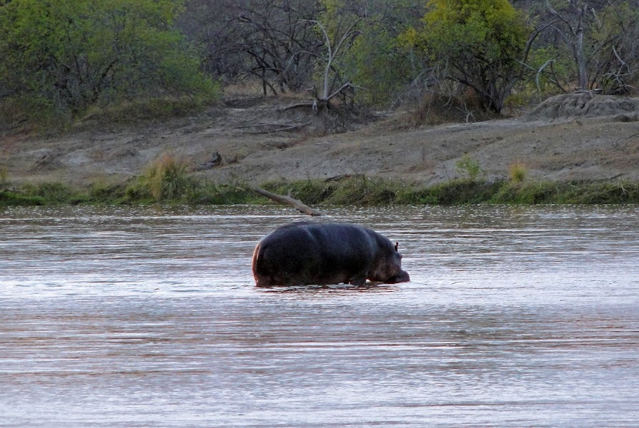 Great Ruaha River Viewpoint — Nature viewpoint — Tanzania Southern Circuit Ruaha and Selous — Tanzania